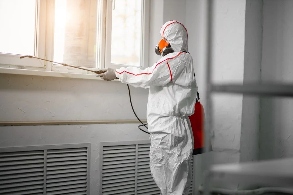 Professional mold remediation services in McDavid, FL